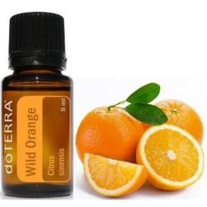 Doterra Wild Orange  Citrus sinensis
